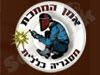 אמן המתכת