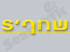 שחף`s