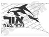 אור גידור 