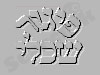 פיגור שכלי 