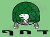 ד. ח. ף