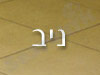 ניב 
