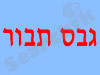 גבס תבור