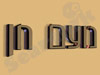נועם חן