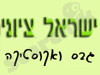ישראל ציוני - גבס ואקוסטיקה