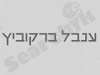 ענבל ברקוביץ 
