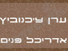 ערן צ`כנוביץ אדריכל פנים 