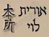 אורית לוי