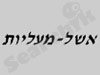 אשל מעליות