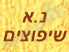 נ.א.שיפוצים 