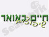 חיים באואר שיפוצים