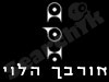 אורבך הלוי 