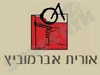 אורית אברמוביץ`