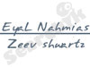 נחמיאס שוורץ 