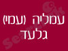 עמליה (עמי) גלעד 
