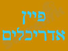 פיין אדריכלים 