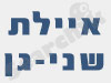 איילת שני-גן
