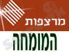 מרצפות המומחה