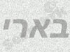 בארי