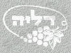 קיבוץ דליה 
