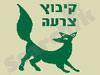 קיבוץ צרעה 