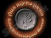 מוזיאון עתיקות הגולן 