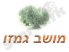 מושב גמזו