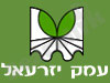מועצה איזורית עמק יזרעאל