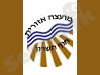 חוף השרון