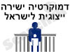 דמוקרטיה ישירה 