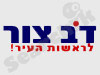 דב צור