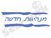 מנהיגות חדשה 