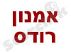 אמנון רודס חקירות