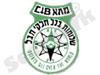 מ.ח.א.