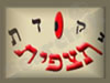 נקודת תצפית 