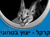 קרקל ייעוץ בטחוני 