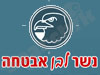 נשר לבן אבטחה 