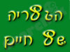 הגלריה של חיים