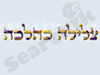 צלילה כהלכה 