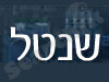 שנטל מערכות