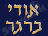 אודי ברגר