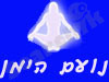 נועם הימן