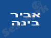 אביר בינה