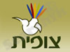 צימרים צופית 
