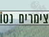 צימרים נטו 