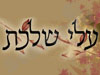 עלי שלכת 