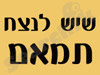 שיש לנצח תמאם
