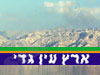 עין גדי 