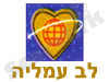 לב עמליה