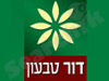 דור טבעון 